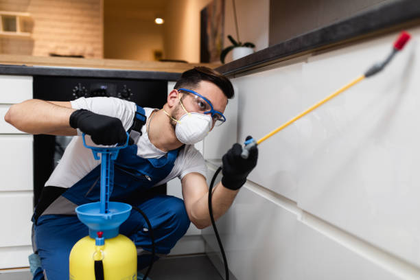 Best Local Pest Control Services  in Sundance, WY